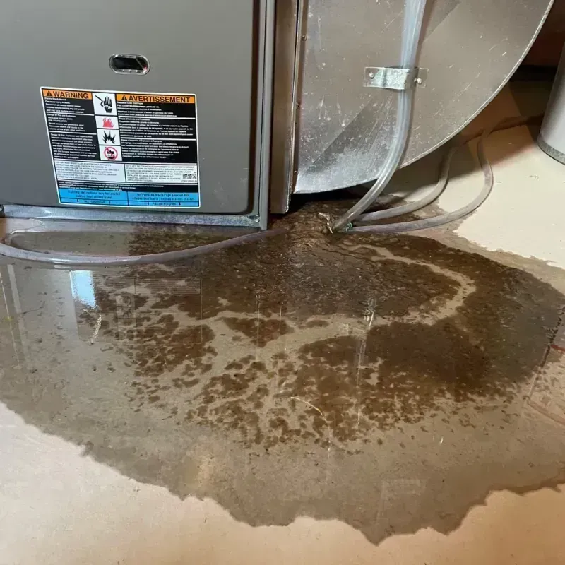 Appliance Leak Cleanup in Greenfield, MO